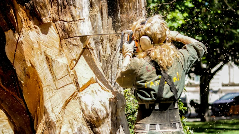Arborist girl is removing a large tree
