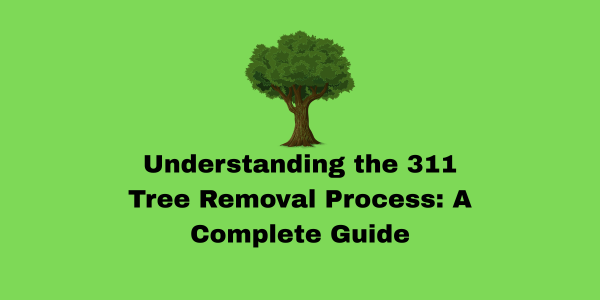 311 tree removal process image